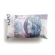 Dekoracyjna Poduszka w kształcie Banknotu - Sto Złotych - 100 PLN